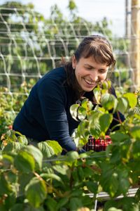 Elisabeth Schneider beim Himbeeren ernten